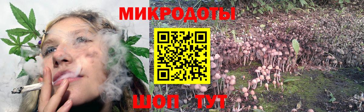 Псилоцибиновые грибы GOLDEN TEACHER  Псилоцибиновые грибы мицелий  Вход с VPN  Электрогорск 